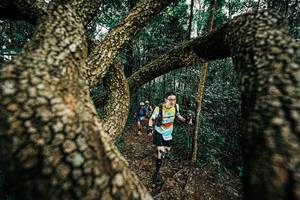 BIB: 
                            <button type="button" onclick="openModal(25393327)" class="btn btn-primary btn-sm float-right btn-popup" data-toggle="modal" data-target=".modal-high-quality">
                        <i class="fas fa-shopping-cart"></i> Add to Cart
                    </button>
                                            <button type="button" onclick="isThisMe(25393327, true)" class="btn btn-success btn-sm float-right btn-popup btn-isme hidden" data-toggle="tooltip" data-placement="bottom" title="นี่คือรูปของคุณใช่ไหม คลิกที่นี่เพื่อเอาเข้าอัลบั้ม">
                        <i class="fas fa-plus"></i> Add to album
                    </button>
                    <button type="button" onclick="isThisMe(25393327, false)" class="btn btn-warning btn-sm float-right btn-popup btn-isnotme hidden">
                        <i class="fas fa-ban"></i> Remove from album
                    </button>